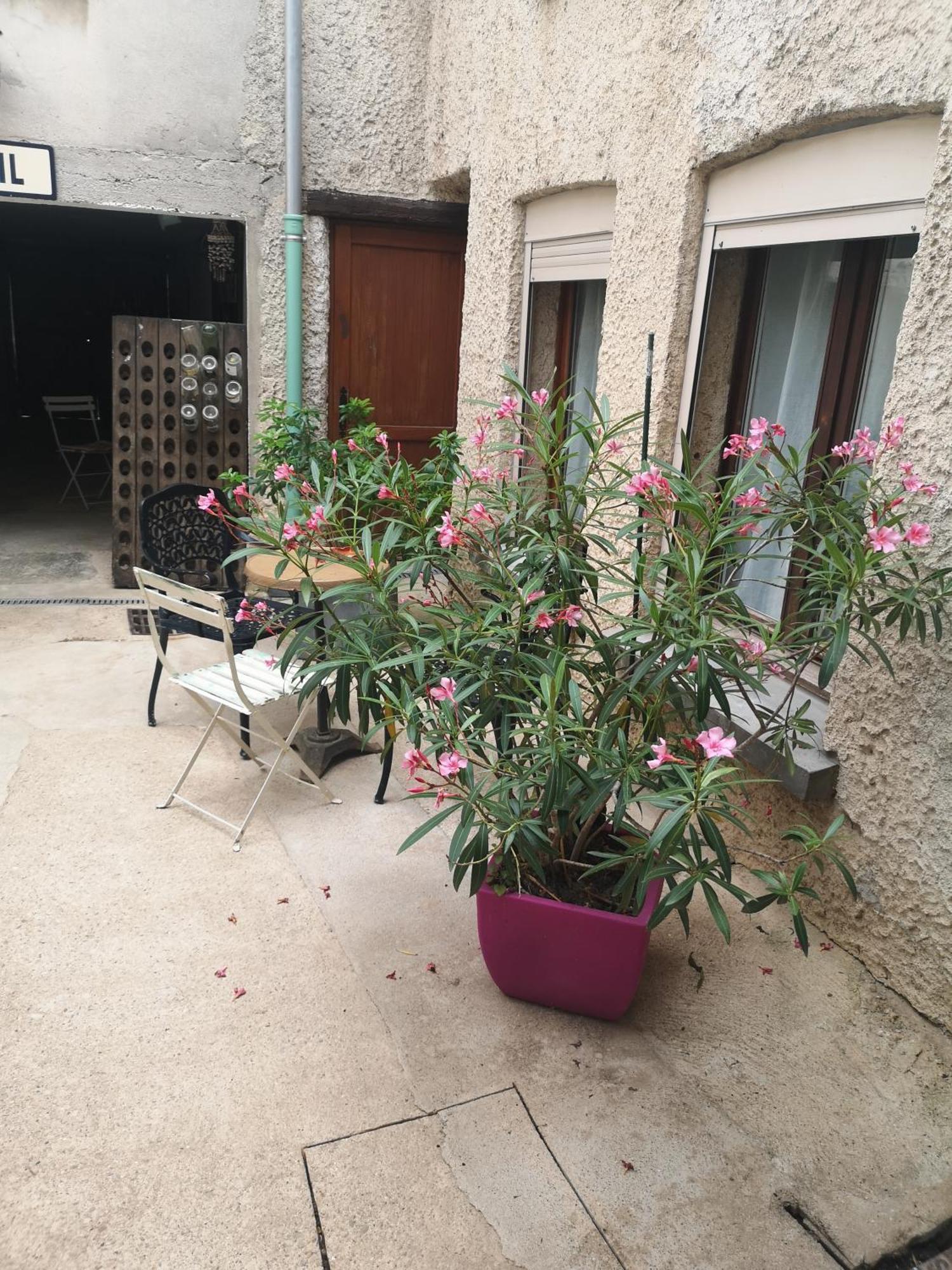 Cottage Au Terminus 2 Climatise Hautvillers Dış mekan fotoğraf